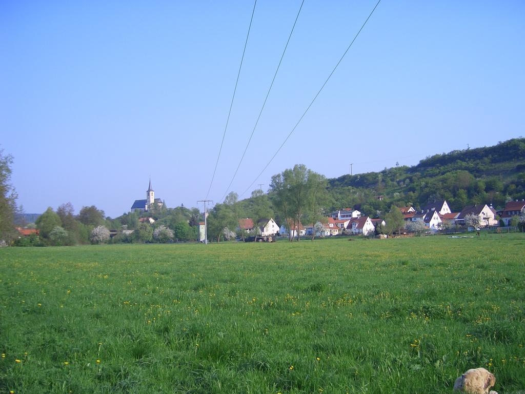 Eußenheim 菲特尼所斯旅馆酒店 外观 照片